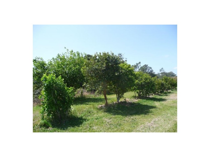 39 Walsh Lane, Lismore NSW 2480