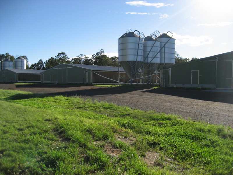 Mongogarie NSW 2470