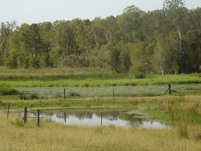 Mongogarie NSW 2470