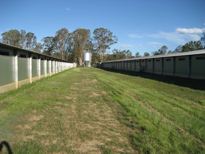 Mongogarie NSW 2470