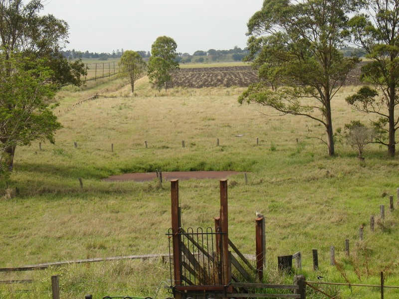 Cedar Point NSW 2474