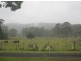 Mallanganee NSW 2469