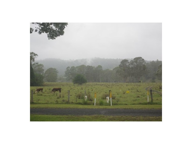 Mallanganee NSW 2469