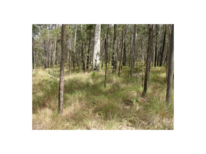 680 North Ewingar Road, Tabulam NSW 2469