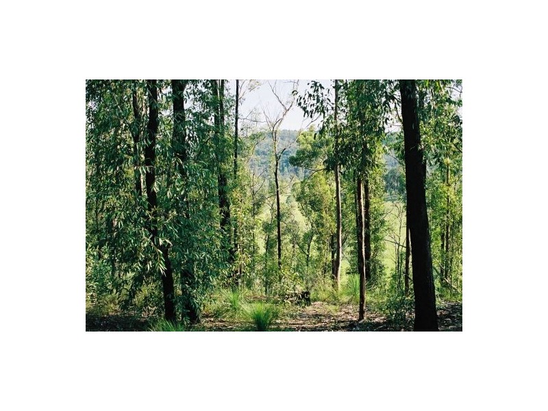 680 North Ewingar Road, Tabulam NSW 2469