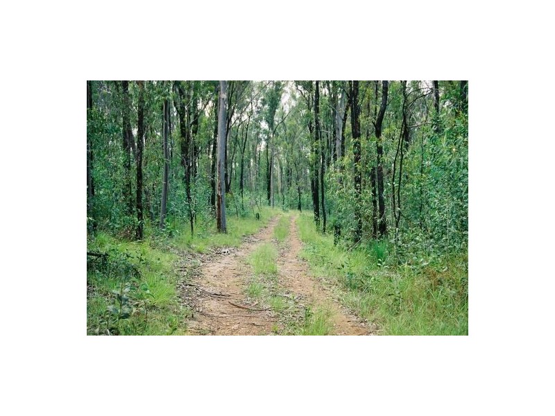 680 North Ewingar Road, Tabulam NSW 2469