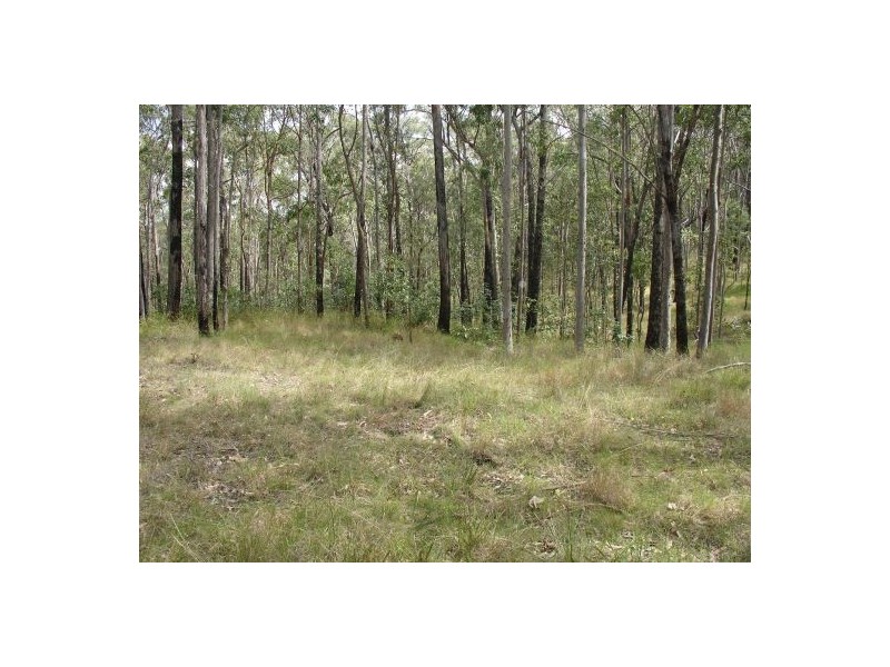 680 North Ewingar Road, Tabulam NSW 2469