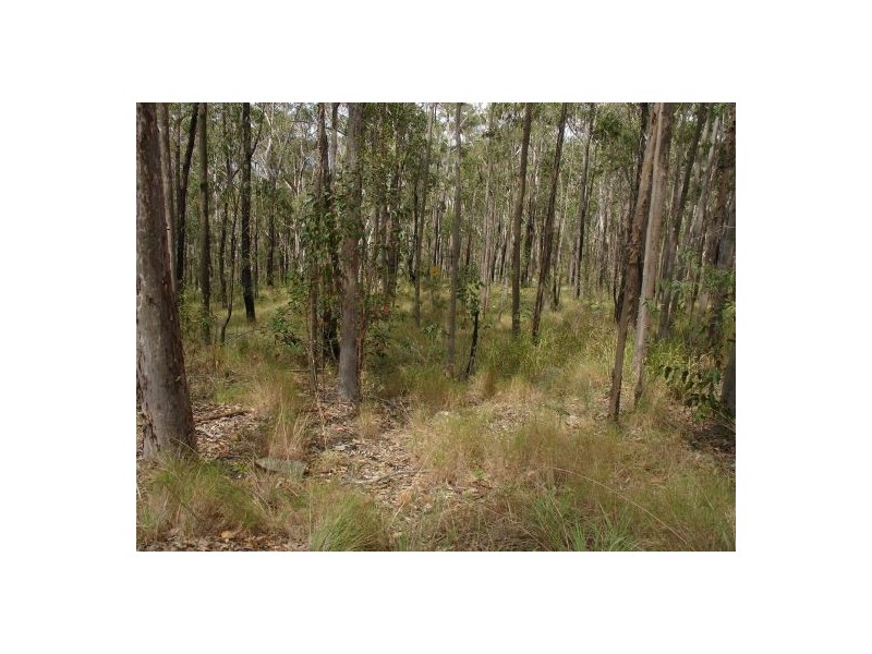 680 North Ewingar Road, Tabulam NSW 2469