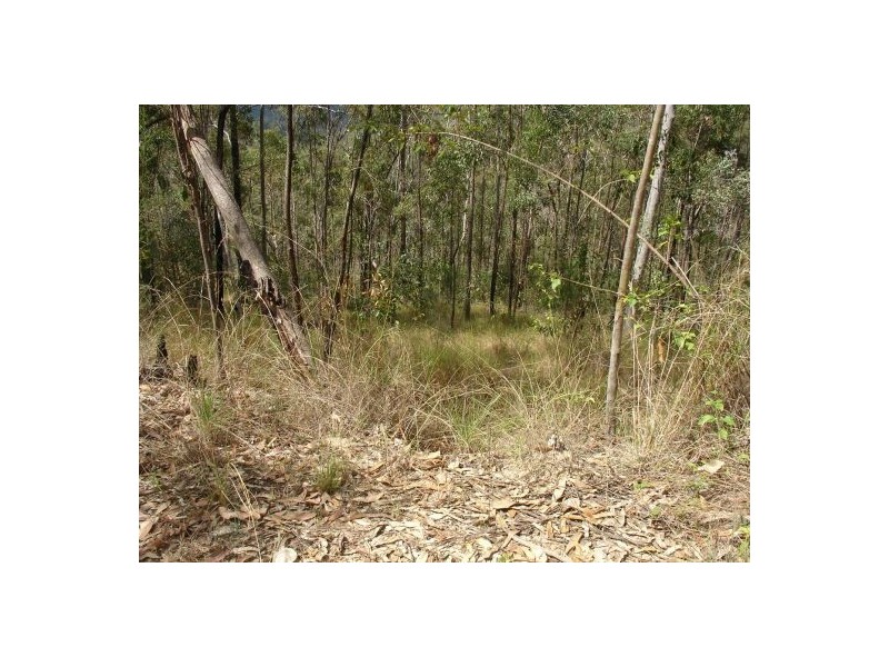 680 North Ewingar Road, Tabulam NSW 2469