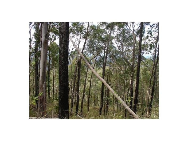 680 North Ewingar Road, Tabulam NSW 2469