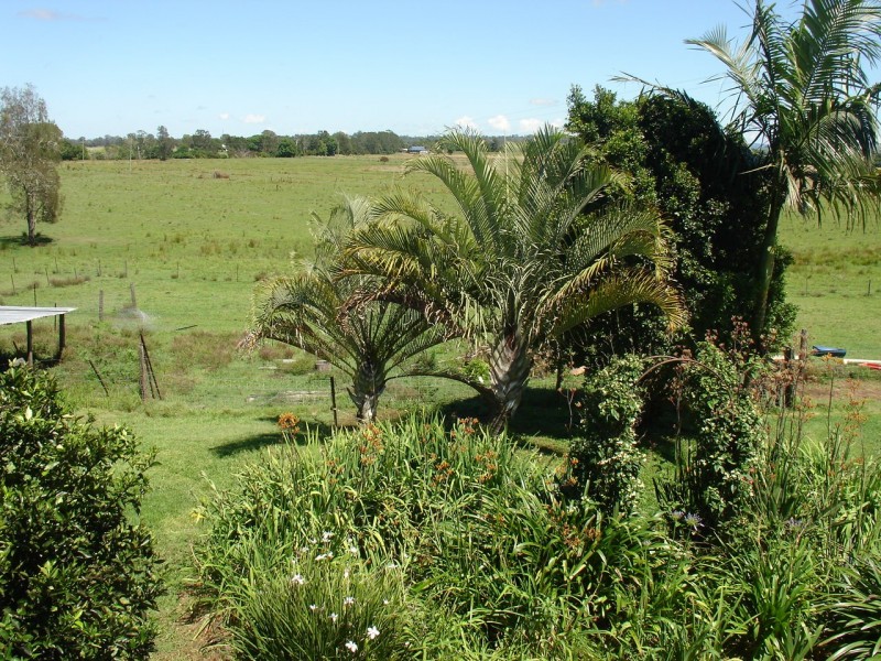 Tuckurimba NSW 2480