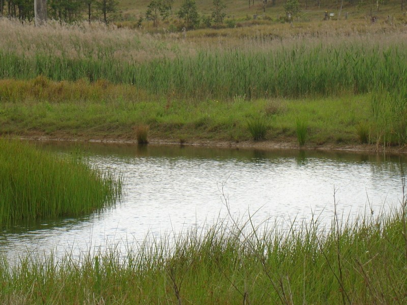 Mallanganee NSW 2469