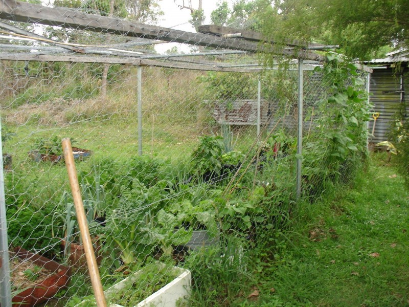 Mallanganee NSW 2469