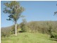 Kyogle NSW 2474