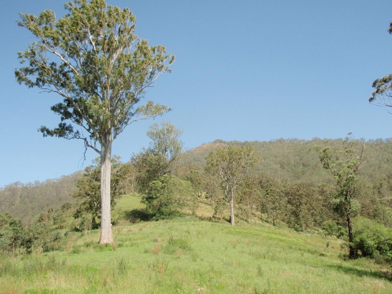 Kyogle NSW 2474