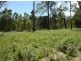 Rappville NSW 2469