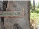 Rappville NSW 2469