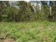 Rappville NSW 2469