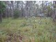 Rappville NSW 2469