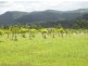 Kyogle NSW 2474