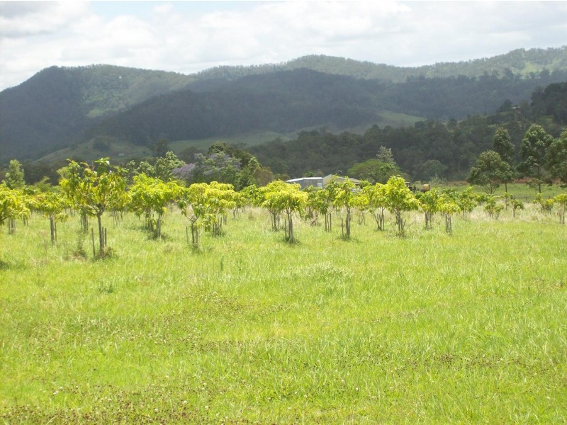 Kyogle NSW 2474