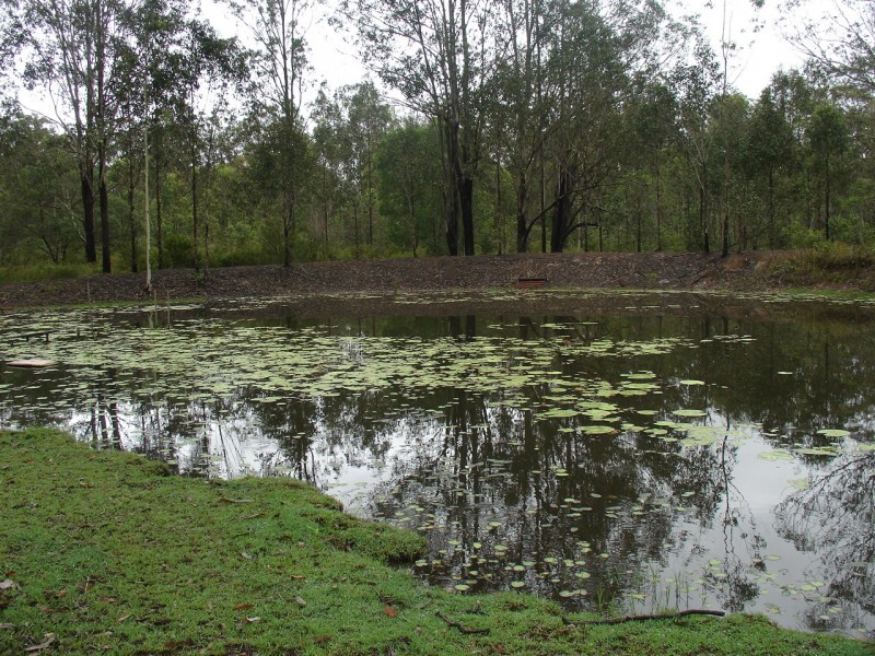 Coombell NSW 2470