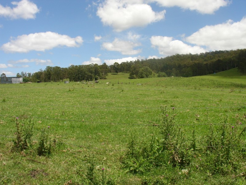 Tunglebung NSW 2469
