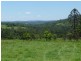 Green Pigeon NSW 2474