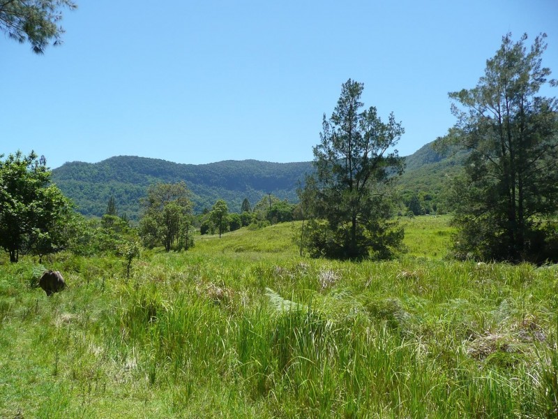 Green Pigeon NSW 2474