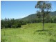 Green Pigeon NSW 2474