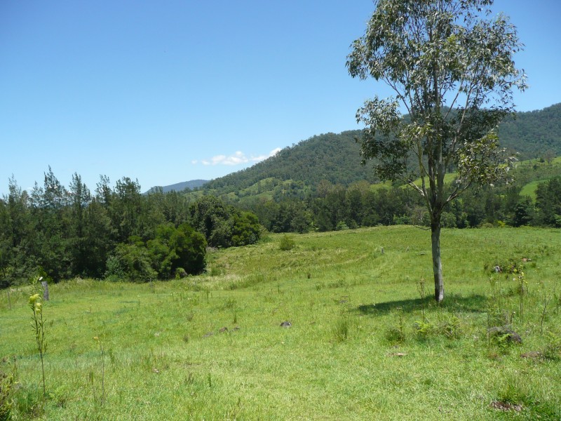 Green Pigeon NSW 2474