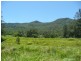 Green Pigeon NSW 2474