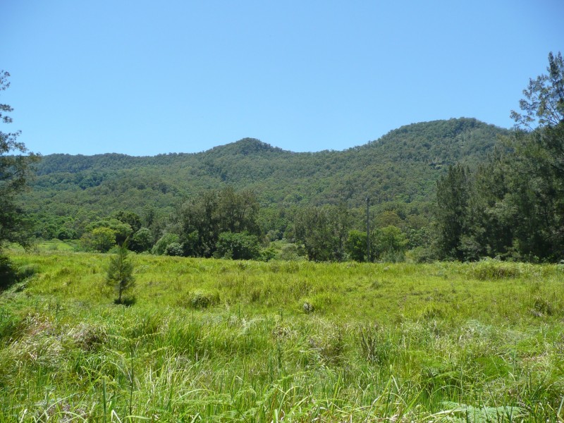 Green Pigeon NSW 2474