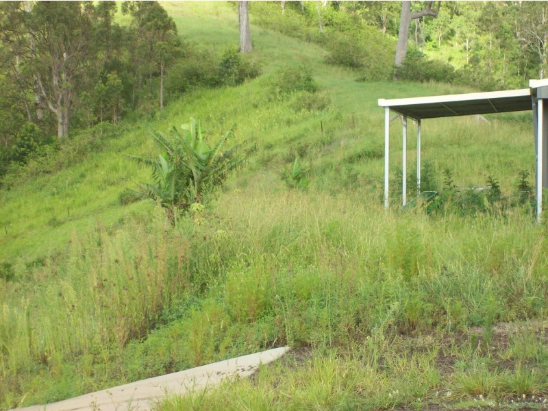 Collins Creek NSW 2474