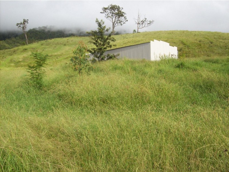 Collins Creek NSW 2474