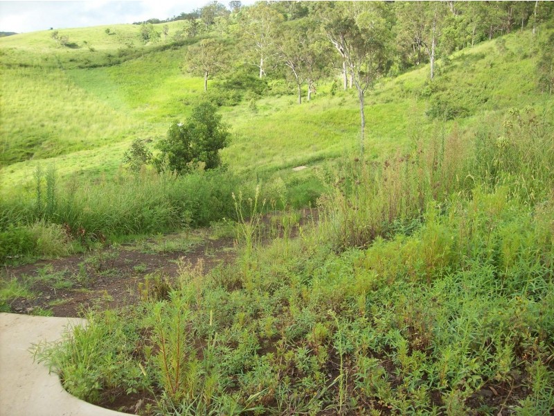 Collins Creek NSW 2474