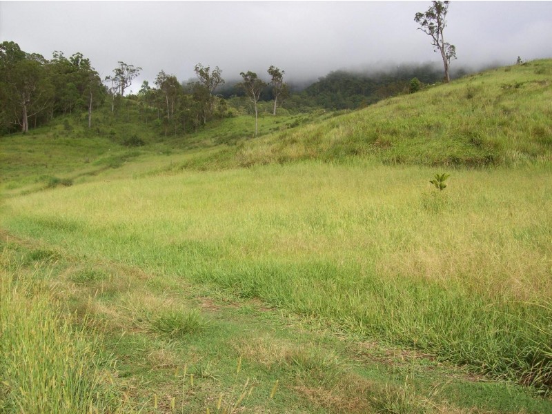 Collins Creek NSW 2474