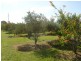 Yorklea NSW 2470