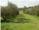 Yorklea NSW 2470