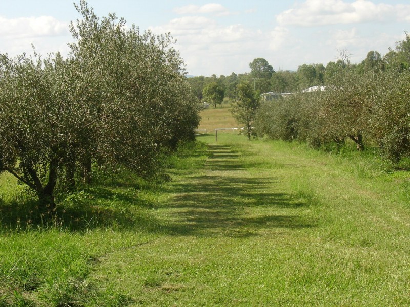 Yorklea NSW 2470