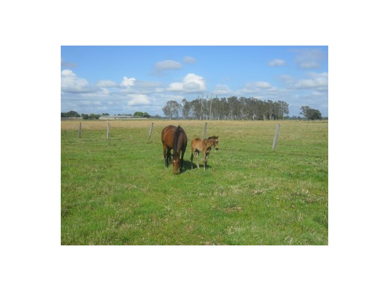 150 Tomki-Bight Road, Casino NSW 2470