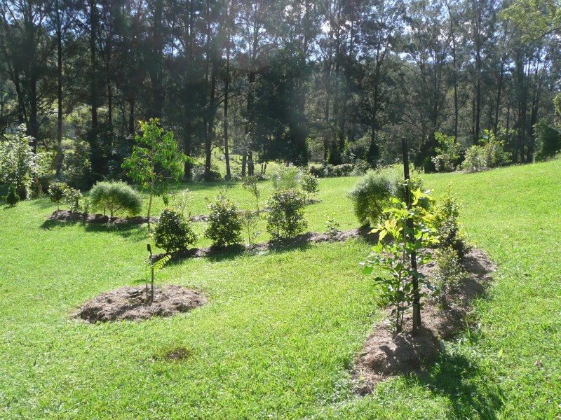 Boorabee Park NSW 2480