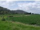 1252 Tabulam Rd, Tabulam NSW 2469