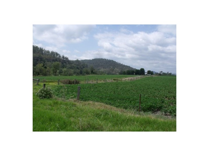 1252 Tabulam Rd, Tabulam NSW 2469