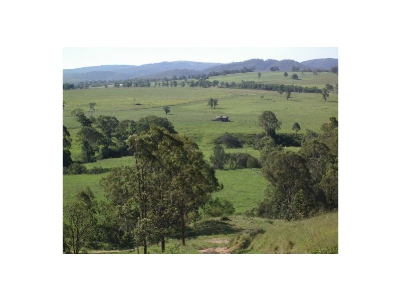 1252 Tabulam Rd, Tabulam NSW 2469
