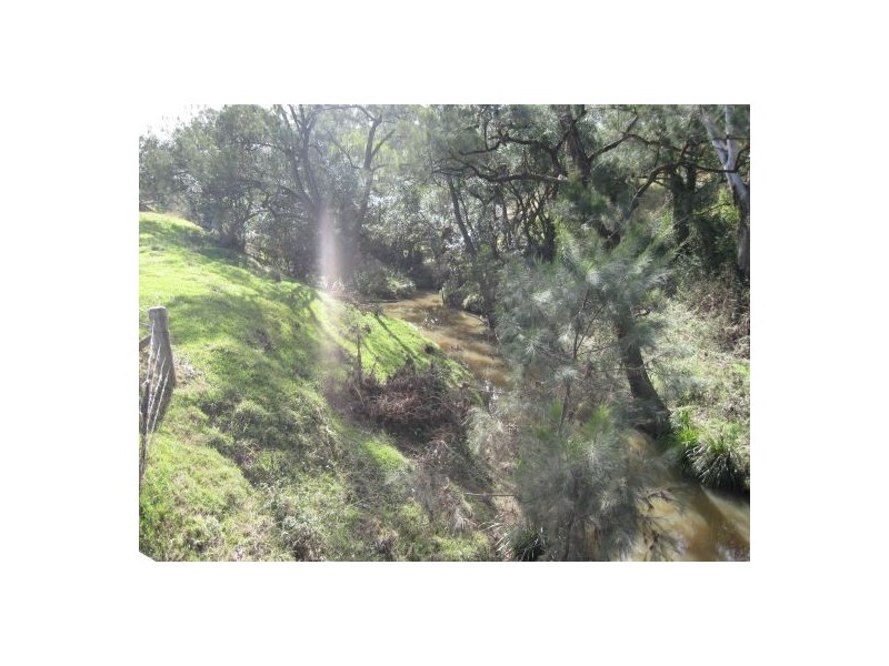 1252 Tabulam Rd, Tabulam NSW 2469