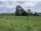 1252 Tabulam Rd, Tabulam NSW 2469