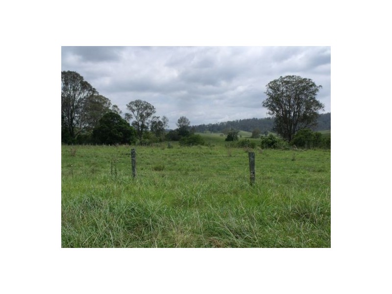 1252 Tabulam Rd, Tabulam NSW 2469