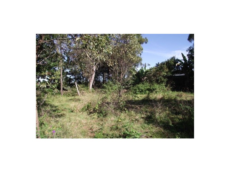 29 Iron Pot Creek Road, Kyogle NSW 2474