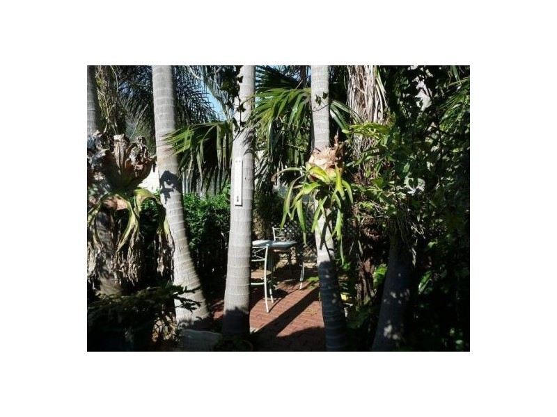 3164 Summerland Way, Grevillia NSW 2474